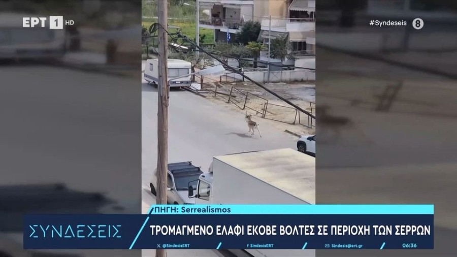 profile player-960x540.jpg