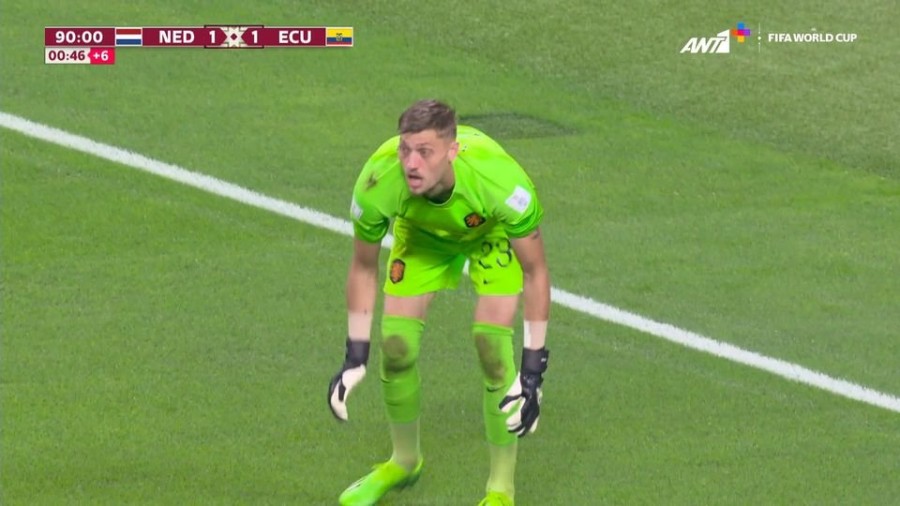 profile player-960x540.jpg