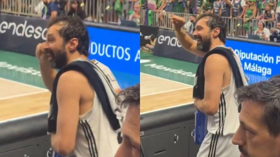 llull21_11zon.jpg