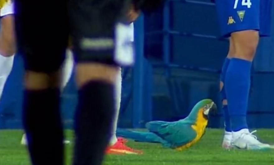 estoril_190446 (1).jpg