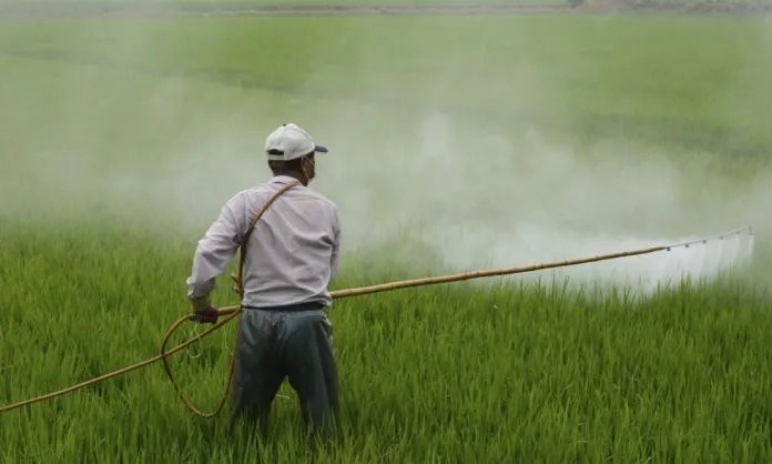 Pesticides-2000x1200-1200x720.jpg