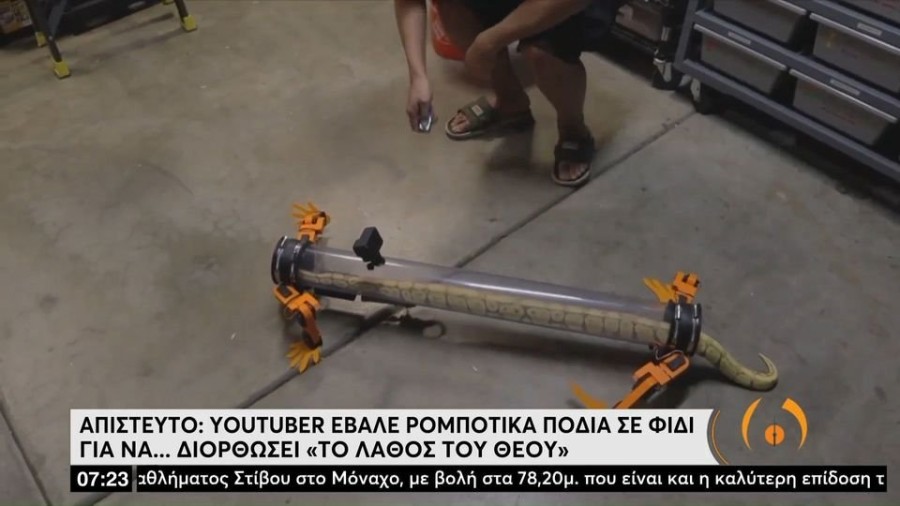 profile player-960x540.JPG