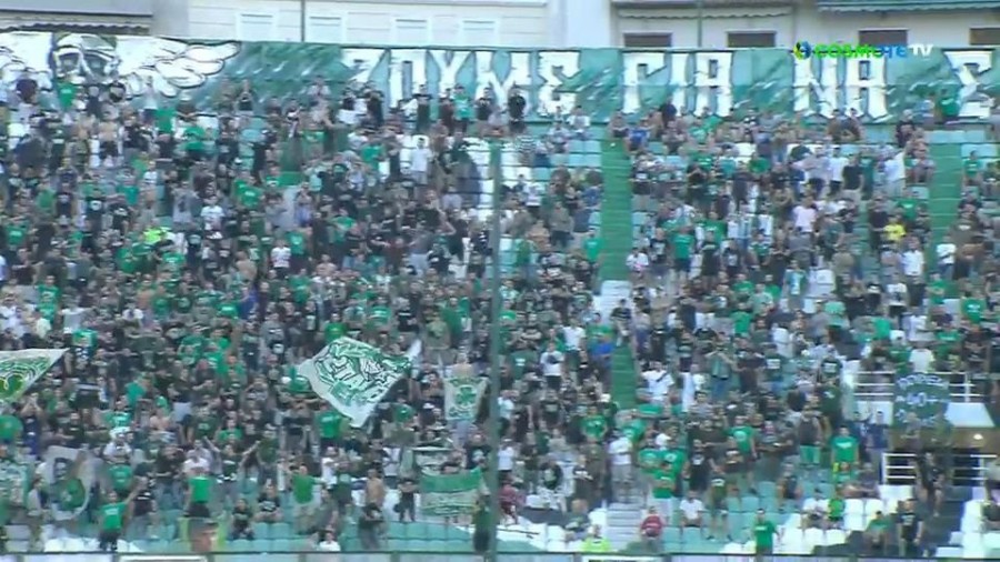 profile_player-960x540 (1).JPG