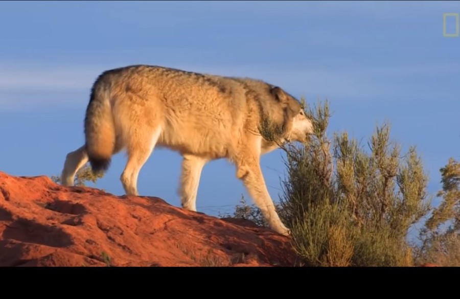 Χωρίς τίτλο.png