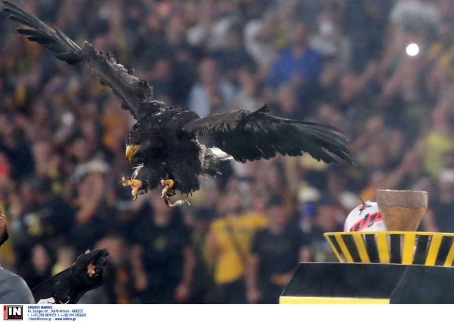 odysseas aek ionikos.jpg